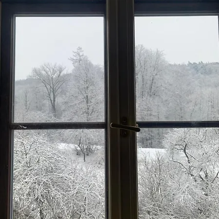 Appartement Zamek *
